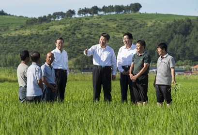 习近平：任何时候都不能忽视和放松“三农”工作